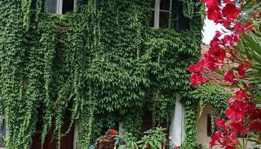 Casa San Biagio - Foto 3