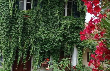 Casa San Biagio - Foto 3