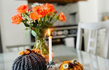 Pen Y Bont Cottage Llanuwchllyn Bala - Foto 8