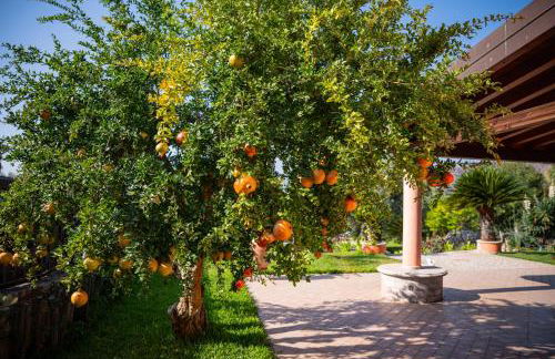 Villa Rita Taormina - Foto 39