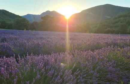 Camin'hôtes Drôme Spa Soleil Couchant - Photo 44