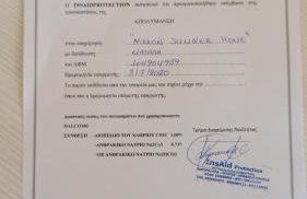 Nikkon summer home - Photo 34