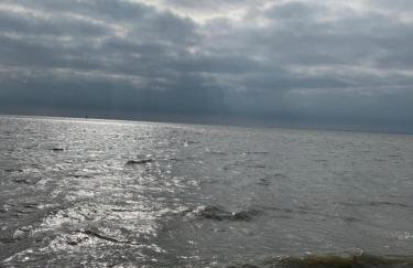FeWoMik in Norddeich, ruhige Lage, in Hafennähe - Foto 38