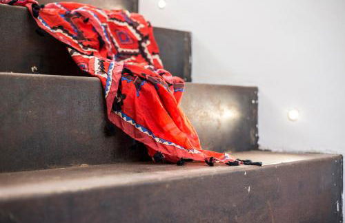 Gallo Fino - Foto 31