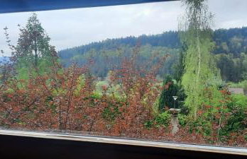 Domek Zielony Dzięcioł - Foto 11