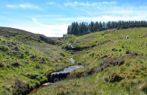 Spindle Well Barn - Photo 19