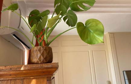 Appartement charmant à Les Andelys - 36 m² avec jardin - Foto 12