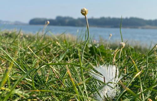Ferienwohnung auf Rügen mit Boddenblick - Foto 38