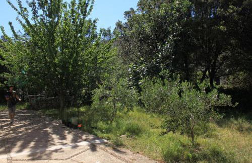 Apartments by the sea Cove Merascica, Cres - 8071 - Foto 9