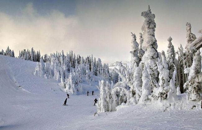 Apartment With Swimming Pool - Foto 36