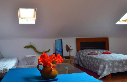 Lazy Lizard Studio - Foto 12