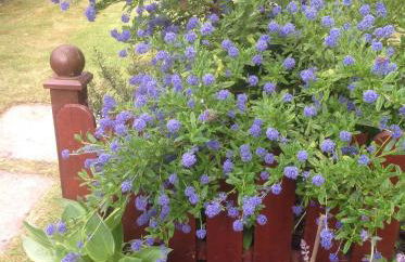 The Garden Flat - Photo 18