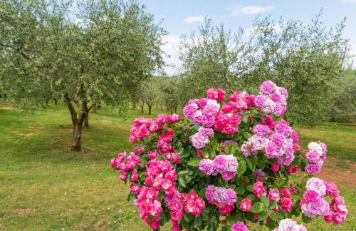 Apartment Luma - Foto 8