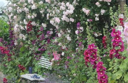 Ferienwohnung Innenhof - Foto 19