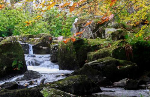 4 Ty Person - Photo 29