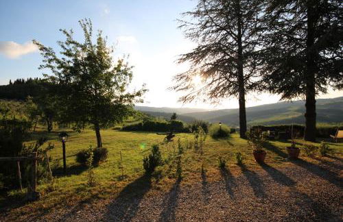 Tenuta il Poggetto - Foto 41