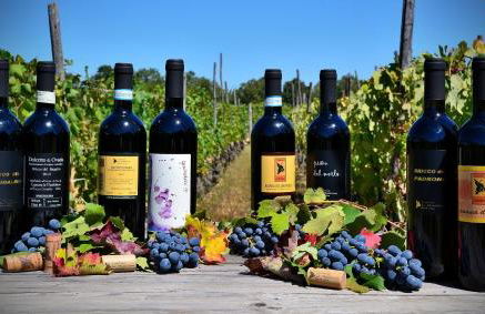 Cascina La Maddalena Bed & Wine - Foto 38