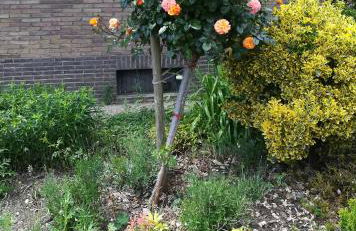 Haus Hirt-Nettetal - Foto 16