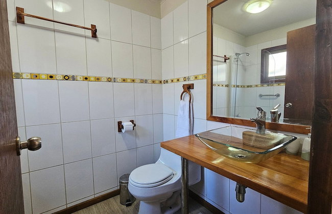 Oceana Suites Corralco - Photo 27