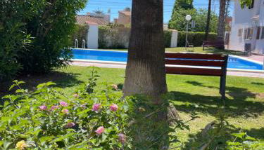 Las tres palmeras - Foto 4