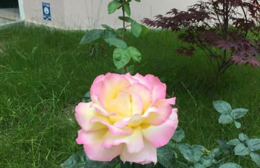 PICCOLO BORGO MOLISANO - Foto 32