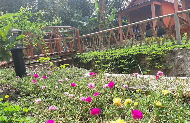 An An Boutique Homestay - Foto 54