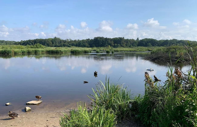 Year-round, Modern Holiday Home With a Terrace - Photo 20