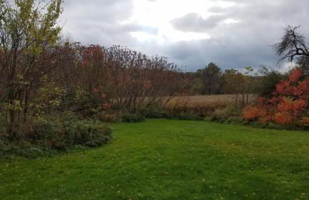 Creekside Escape on 200 acres - Foto 19