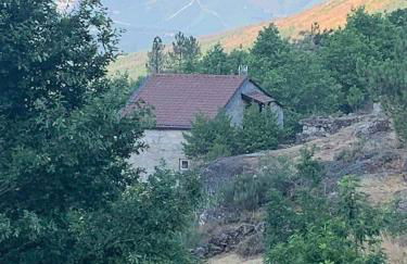 Quinta De Cabrum - Foto 11