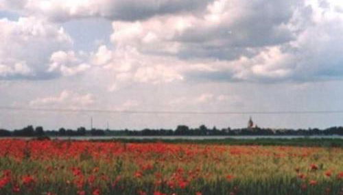 Ferienwohnung Tegge - Photo 4