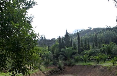 Impeccable 3 Bedroom House, sea View in Aljezur - Foto 26