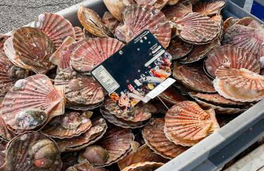 La Maison Gavraise - Foto 49