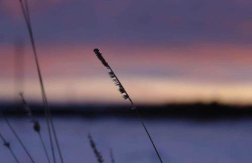 Hill-view Holiday Home in Dankerode near Lake and Hiking - Foto 67