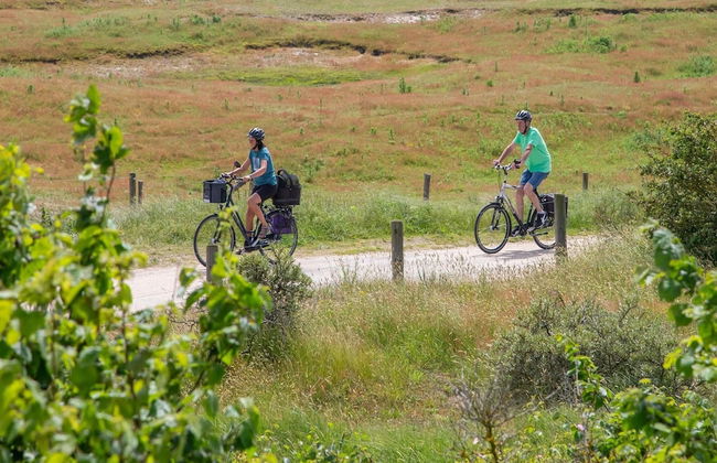 Holiday Home in Renesse Near Seabeach - Photo 35