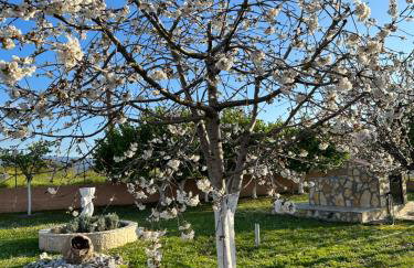 Telis Apartments One - Foto 19