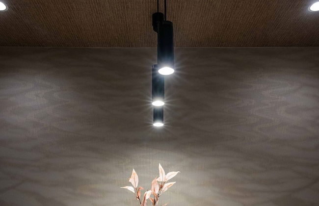 JAPAVISTA Fuji - Foto 57