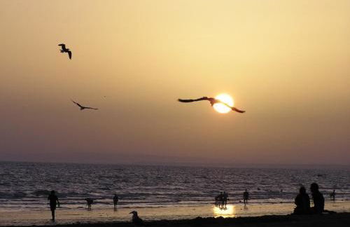 Punta Umbría Playa Ria - Foto 46