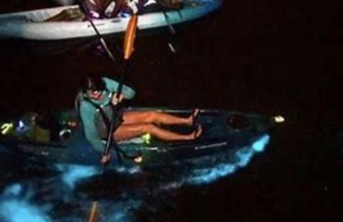 Pool & Spa Hideaway on the Space Coast - Foto 8