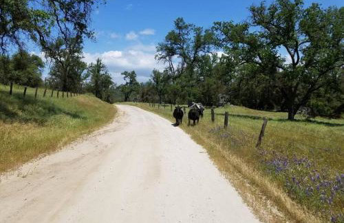 Loyah Cabin - Foto 9