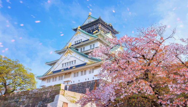 Visite privée dans Osaka - Photo 2, Château d'Osaka au printemps