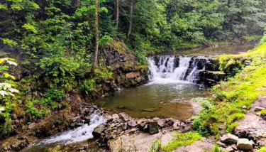 Szafran Home Spa - Foto 5, Garden