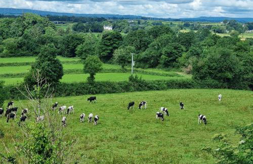 Brodleys' Hill Studio 286d - Foto 13