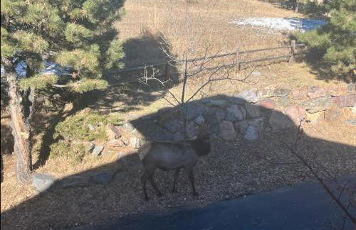 Mountain Top Luxury Red Rocks Hot tub Sauna Views - Photo 42