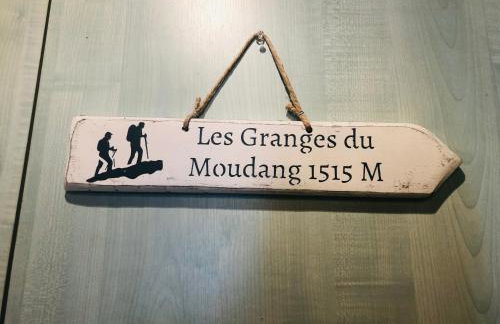 Appartement au pied des pistes- Piau Engaly - Foto 18