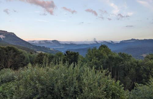 Perce-neige - Foto 15