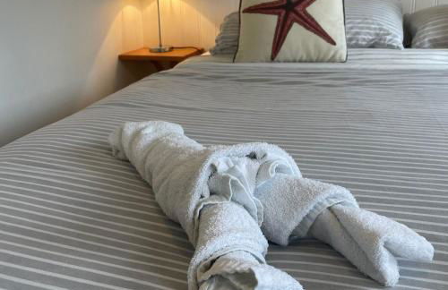 Rock Lobster - Foto 19