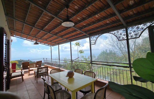 Fattoria Terranova - Foto 47