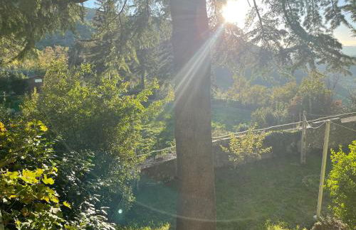 Casa vacanze I PINI E IL CILIEGIO - Foto 29