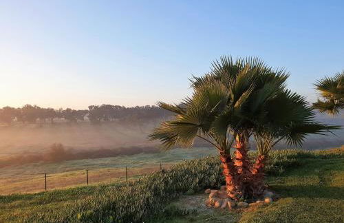 Monte D'Vagar by Estilo Lusitano, com piscina privada - Foto 24