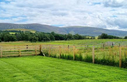 Bombie Glamping Pod - Foto 4